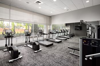 A row of treadmills and exercise machines in a room with large windows